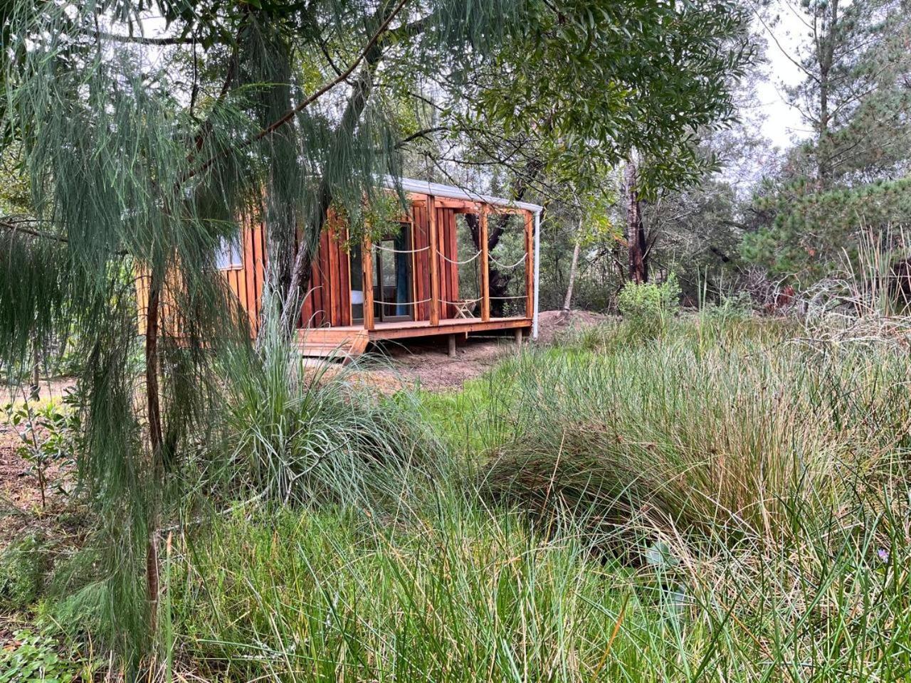Forest Gate Resort 普勒滕贝格湾 外观 照片