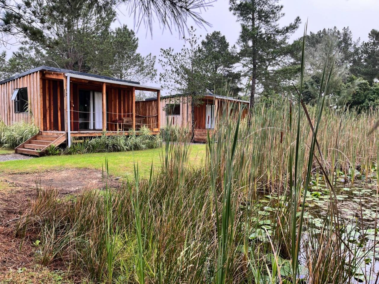 Forest Gate Resort 普勒滕贝格湾 外观 照片