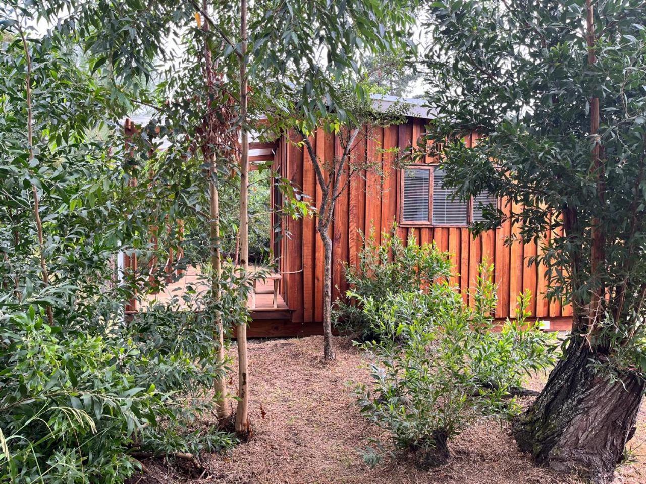 Forest Gate Resort 普勒滕贝格湾 外观 照片