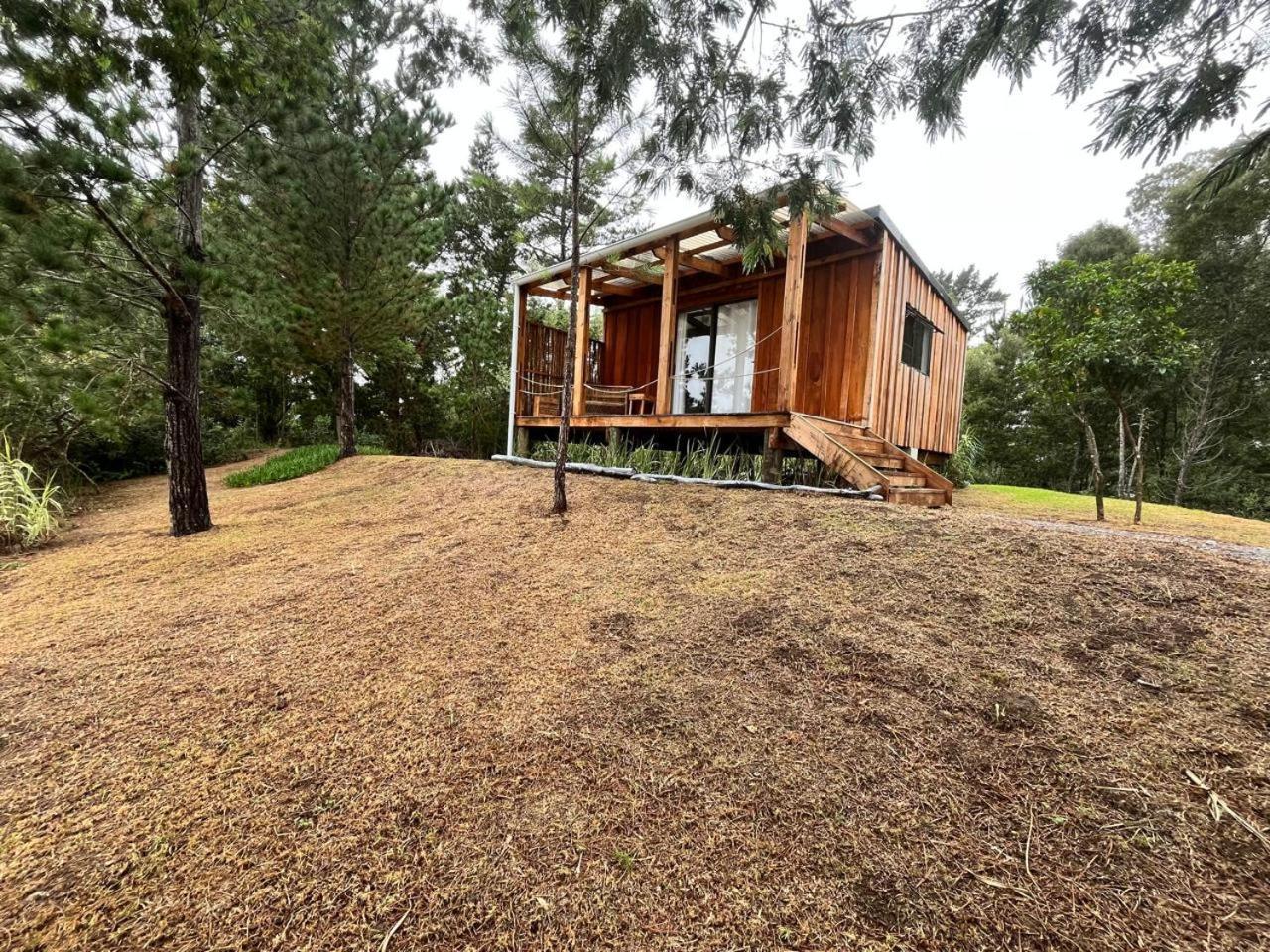 Forest Gate Resort 普勒滕贝格湾 外观 照片