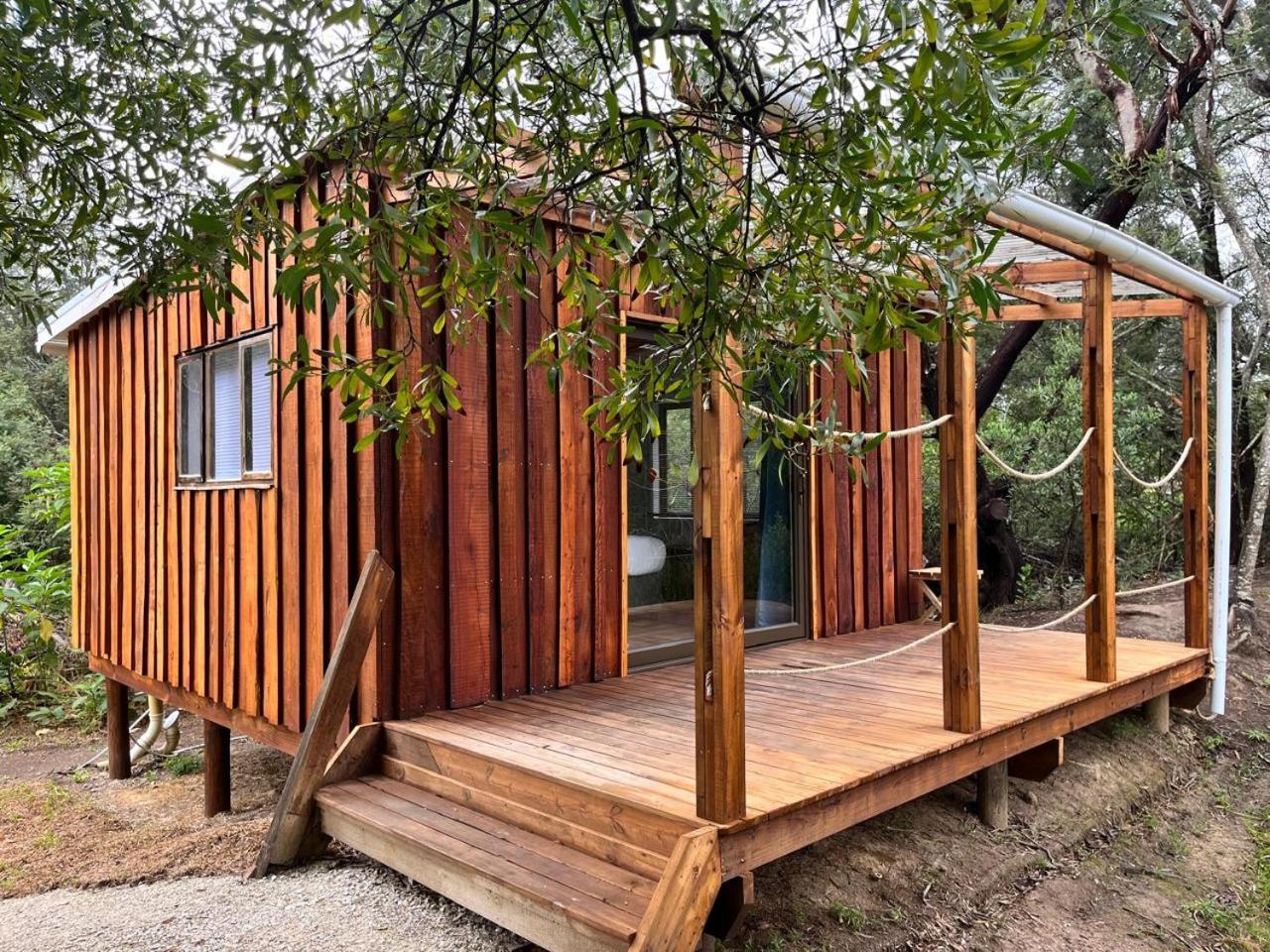 Forest Gate Resort 普勒滕贝格湾 外观 照片