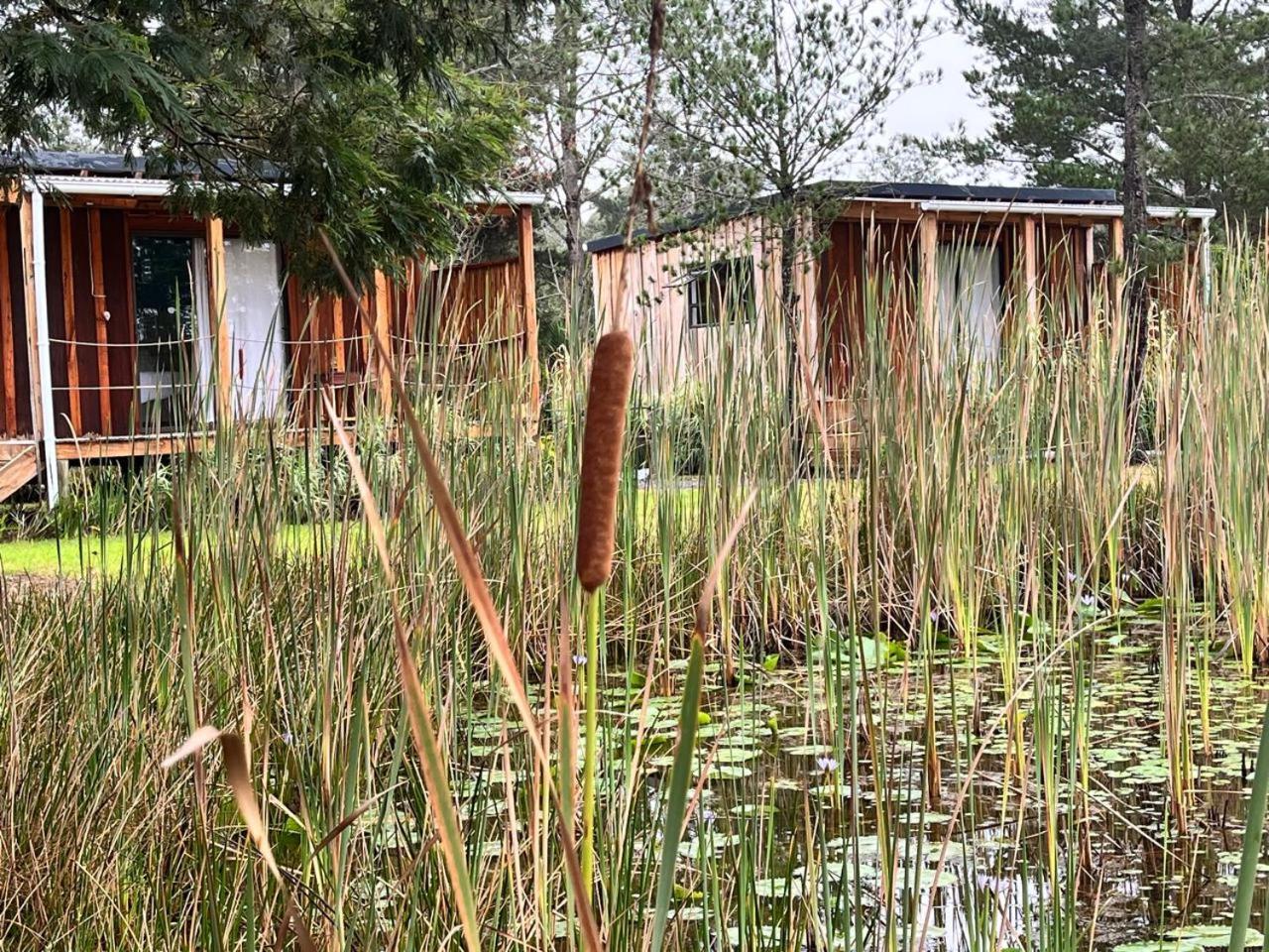 Forest Gate Resort 普勒滕贝格湾 外观 照片