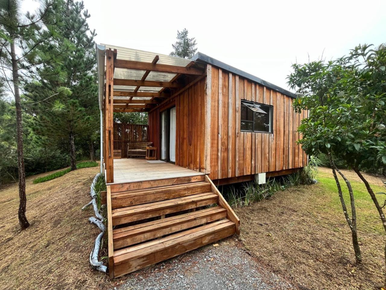 Forest Gate Resort 普勒滕贝格湾 外观 照片