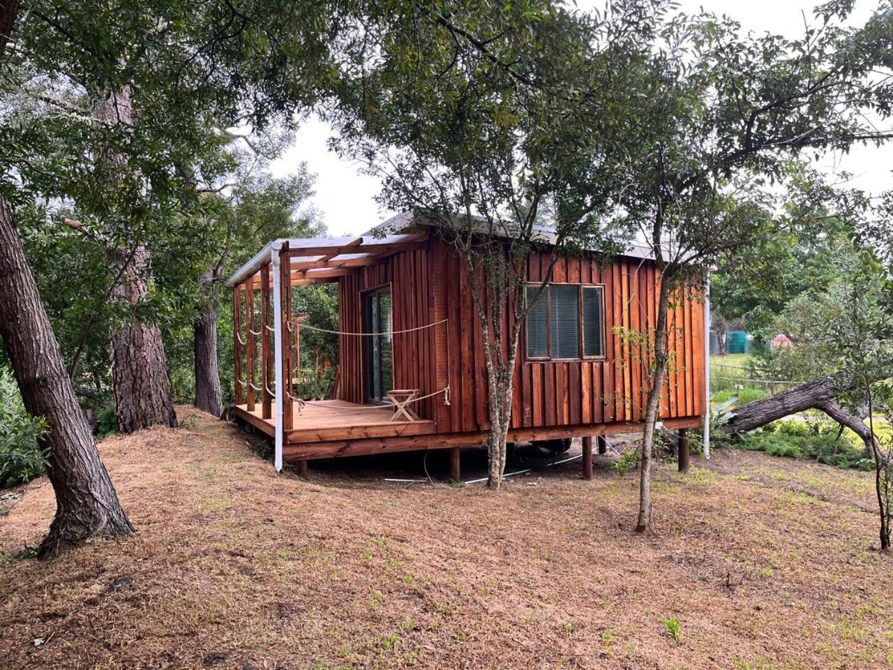 Forest Gate Resort 普勒滕贝格湾 外观 照片