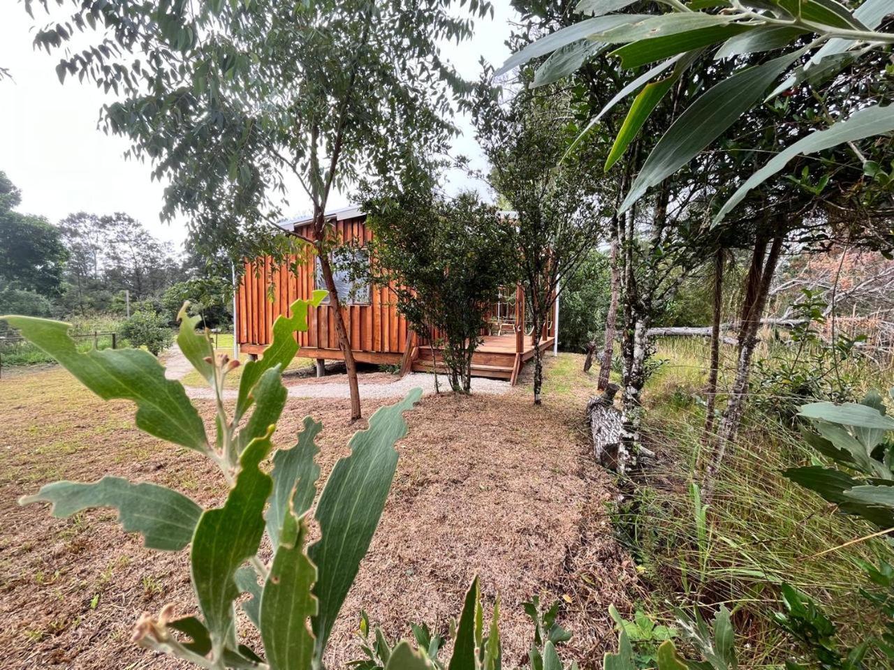 Forest Gate Resort 普勒滕贝格湾 外观 照片
