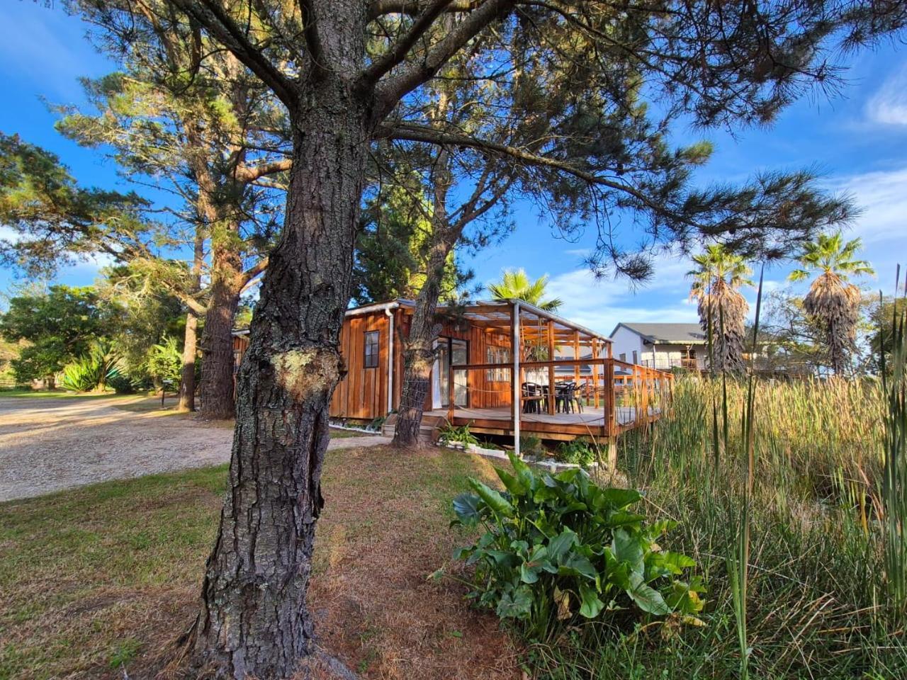 Forest Gate Resort 普勒滕贝格湾 外观 照片