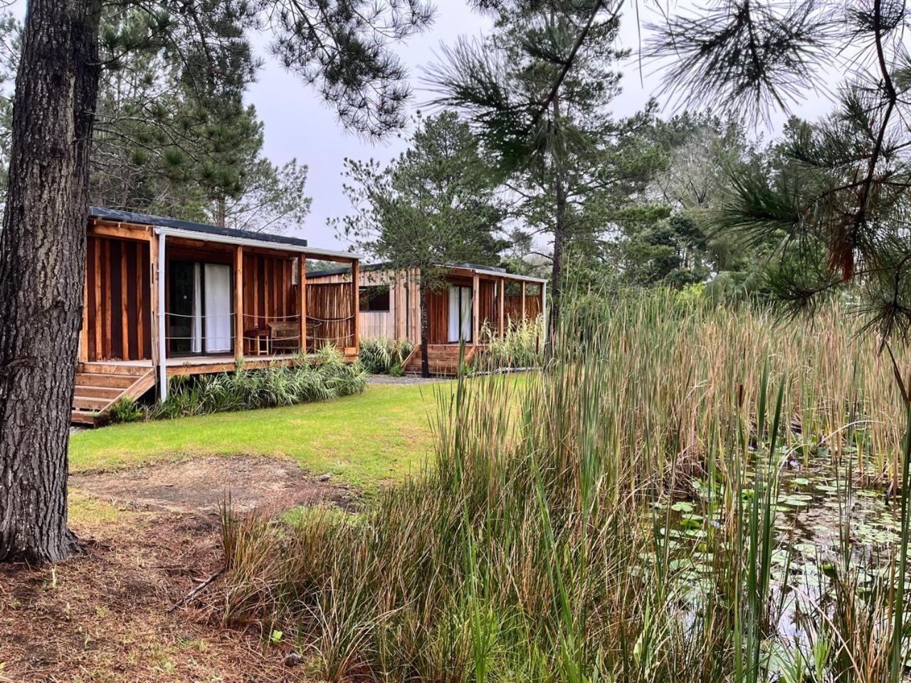 Forest Gate Resort 普勒滕贝格湾 外观 照片