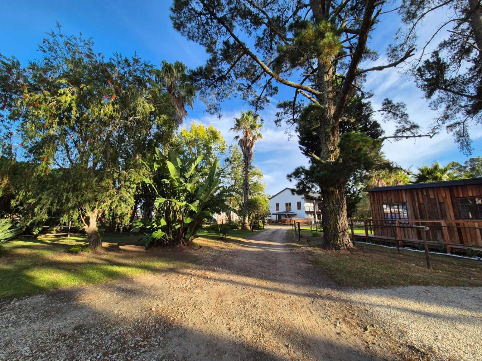 Forest Gate Resort 普勒滕贝格湾 外观 照片